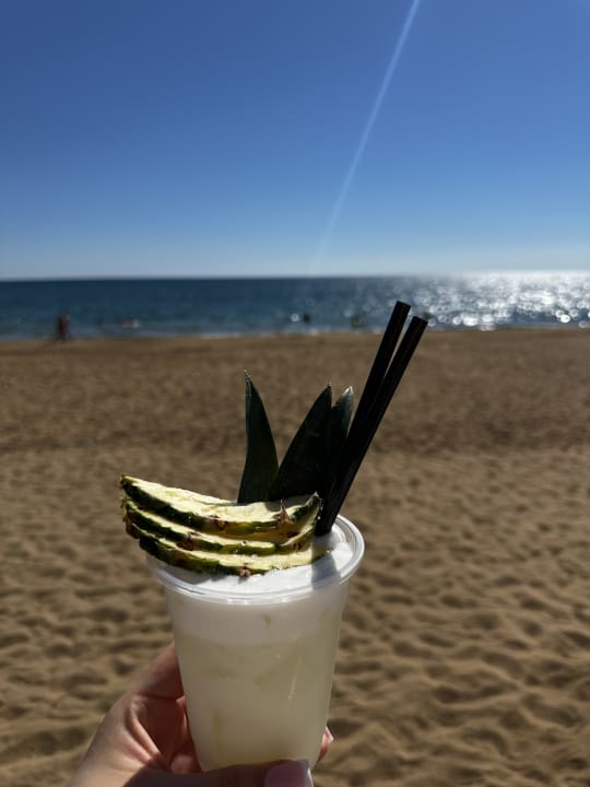 Gastro Seashell Vega