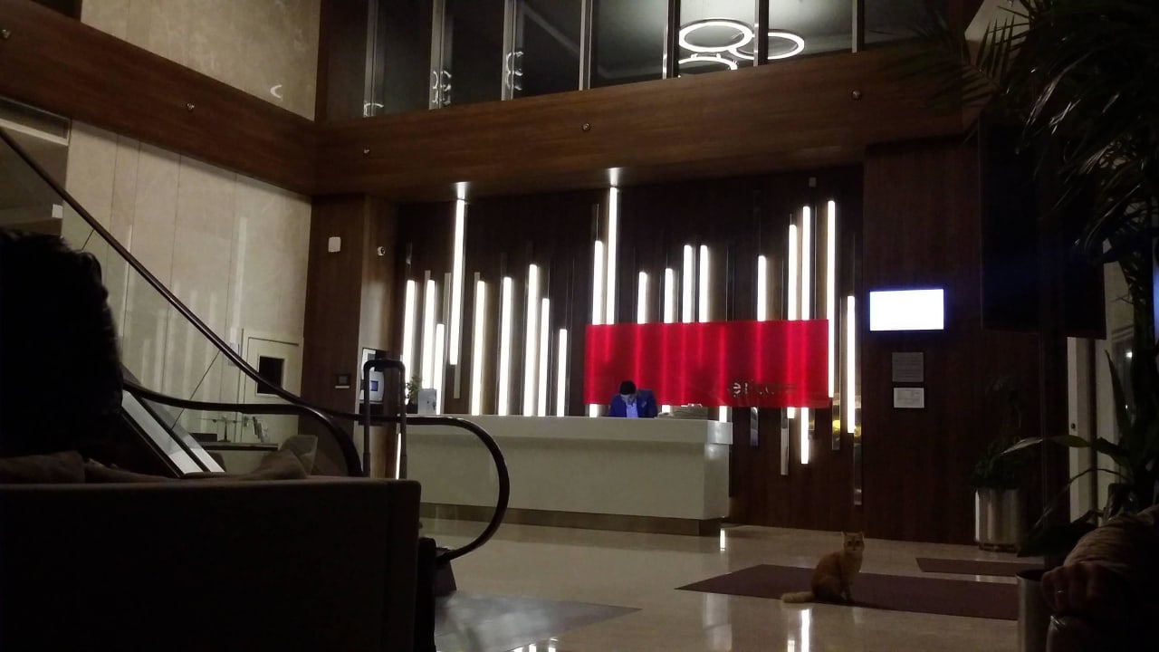 Зона ресепшн Hotel Ramada Encore Istanbul Bayrampasa