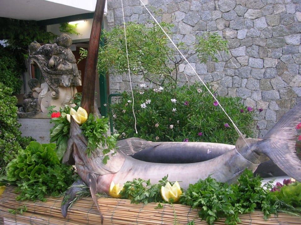 Guter Fang! Aldiana Club Rocca Nettuno Calabria