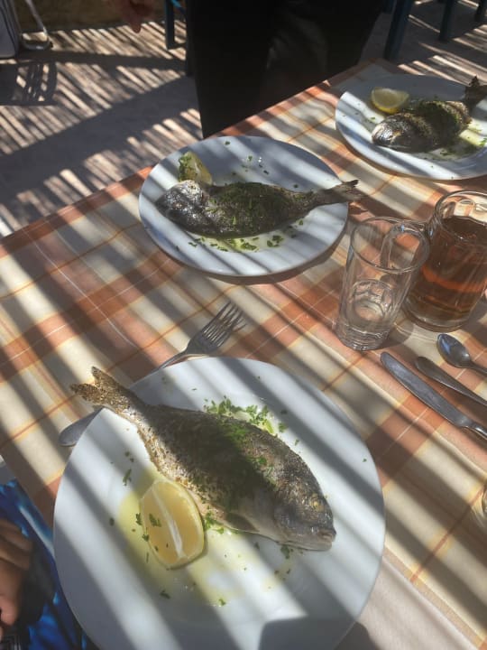 Gastro Hotel Kalithea Horizon Royal