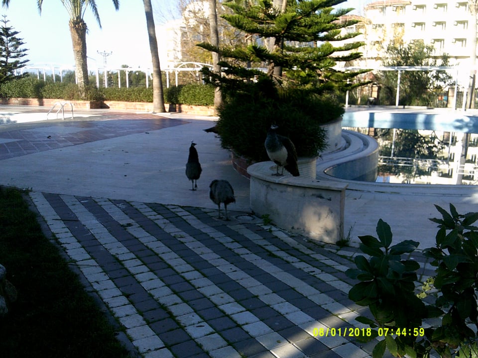 Sonstiges Seaden Corolla Hotel