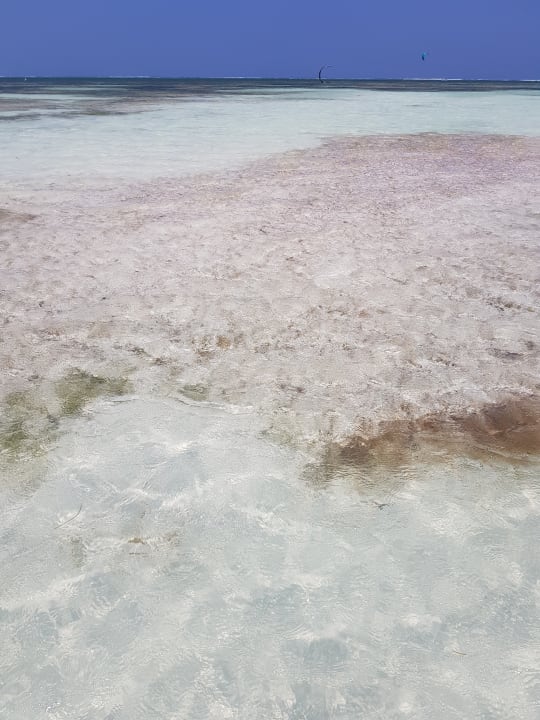 Traumstrand Neptune Paradise Beach Resort & Spa