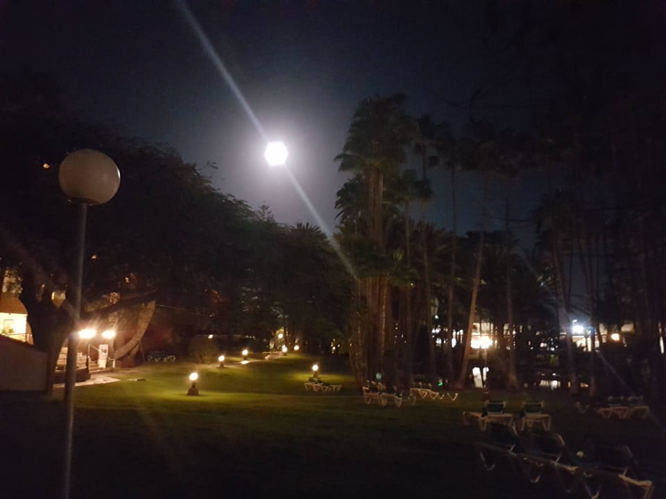 Bei Nacht Hotel Riu Palace Oasis