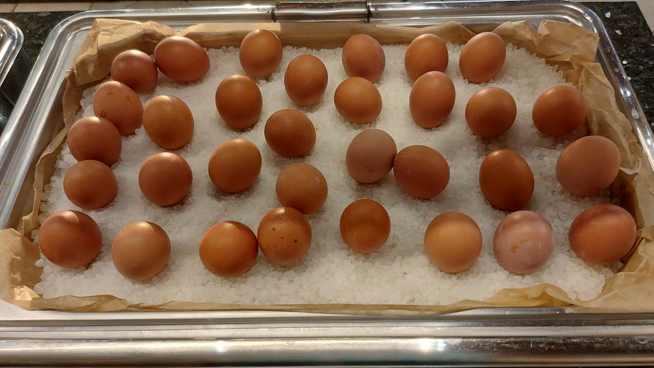 Gastro Hotel Borjana