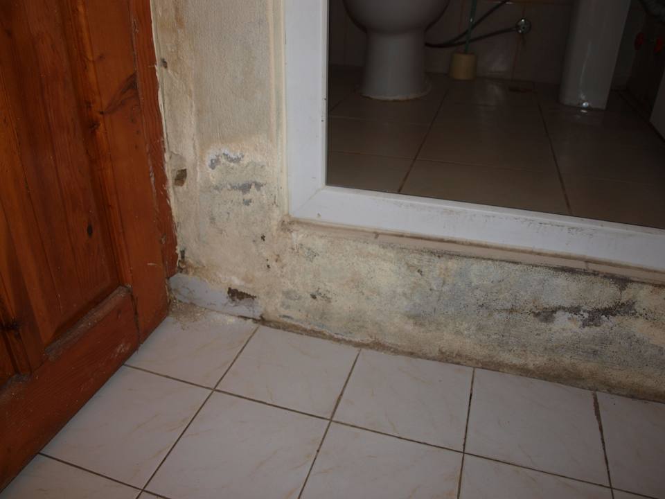 Ostroznie grzyb Hotel Kleopatra Alis