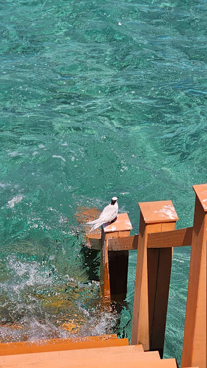 Außenansicht Thulhagiri Island Resort