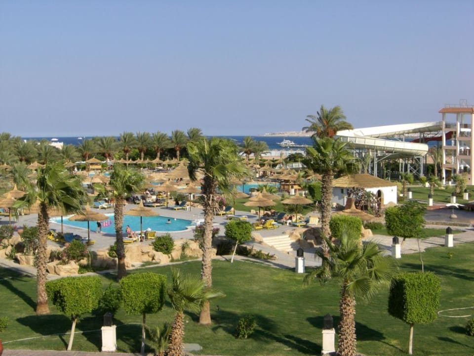 Blick aus dem Zimmer Beach Albatros Resort