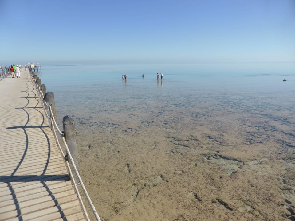 Steg zum eigenen Hausriff Stella Beach Resort & Spa Makadi Bay