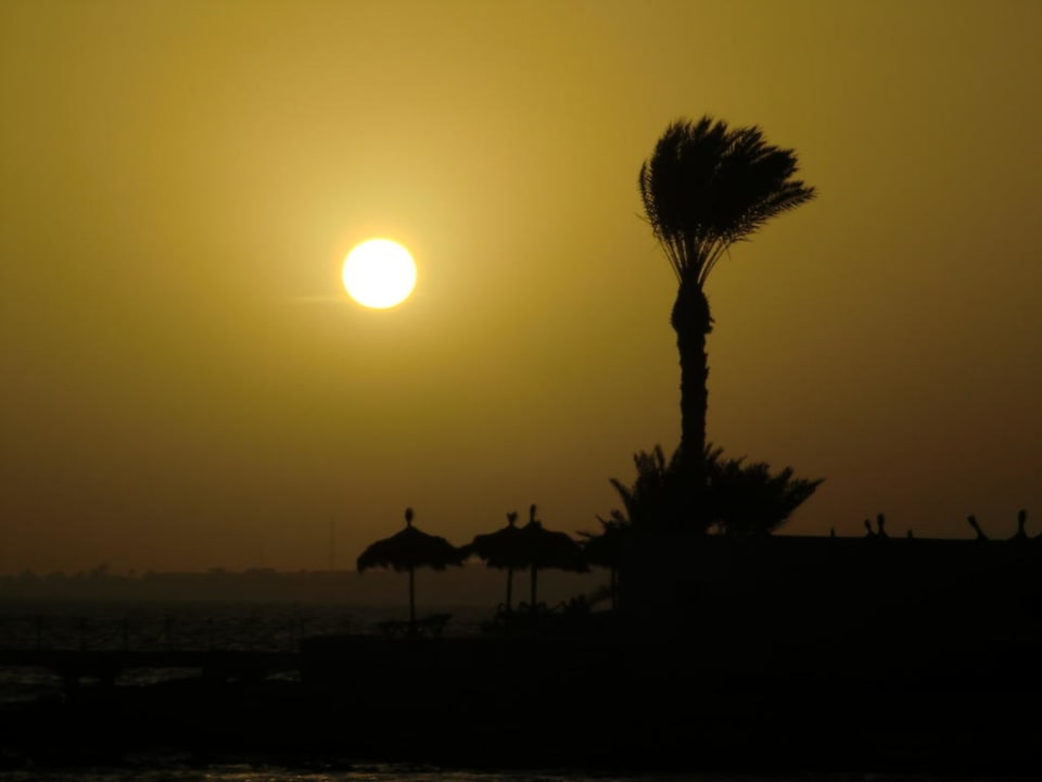 Sonne  Hotel El Mouradi Djerba Menzel