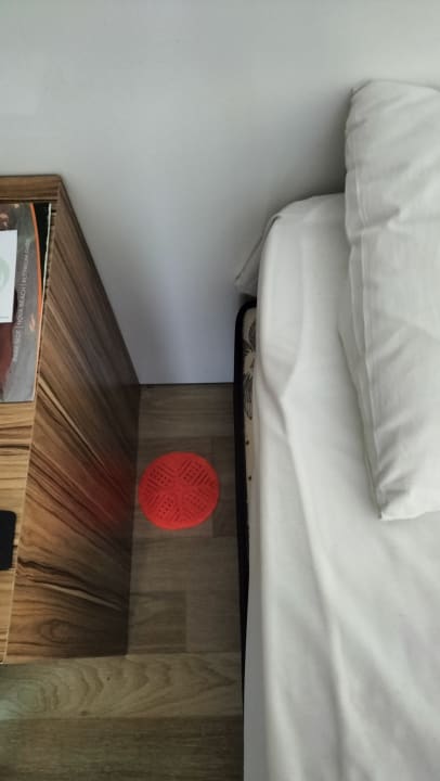 Zimmer Clover Magic Nova Beach