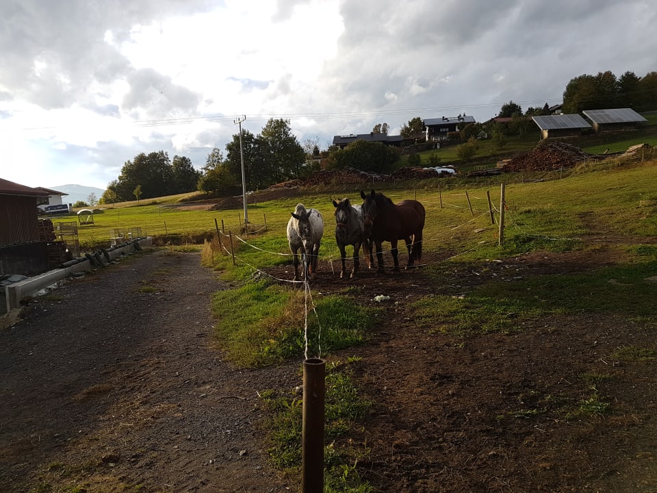 Außenansicht Erlebnisbauernhof Achatz