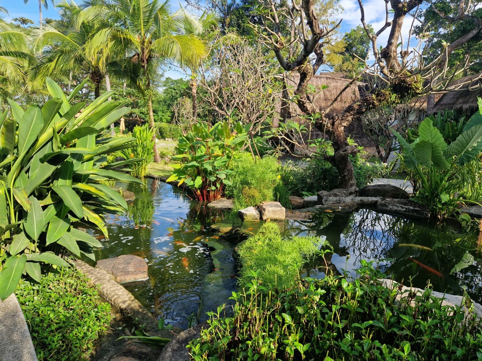 Gartenanlage Eden Beach Resort & Spa, A Lopesan Collection Hotel