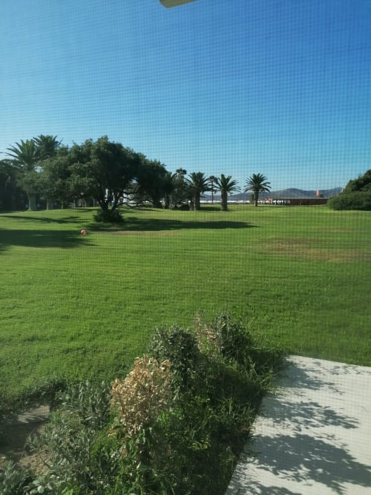 Gartenanlage Caravia Beach Hotel