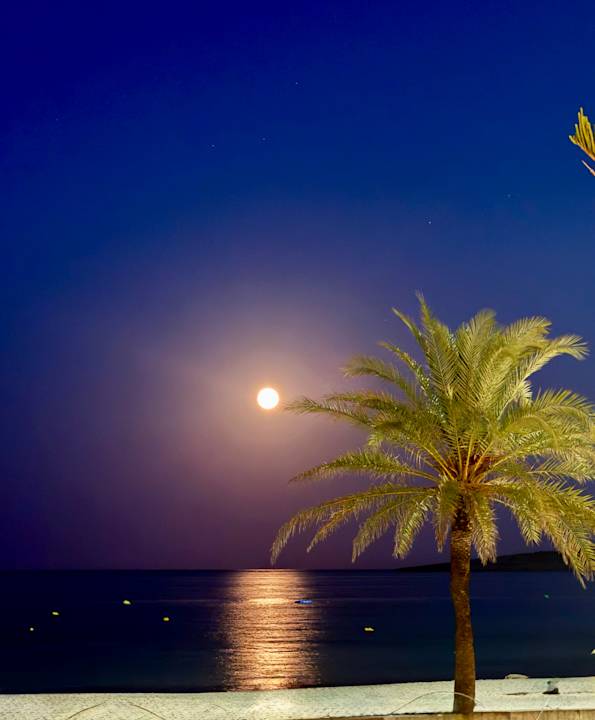 Strand CM Playa del Moro