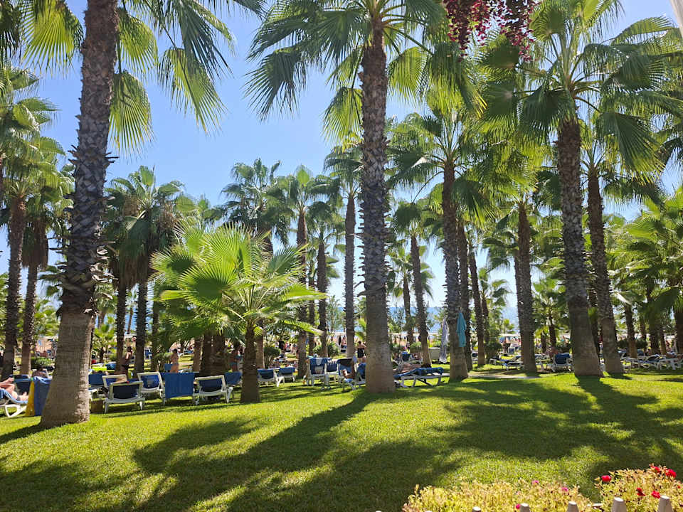 Gartenanlage Hotel Süral Resort