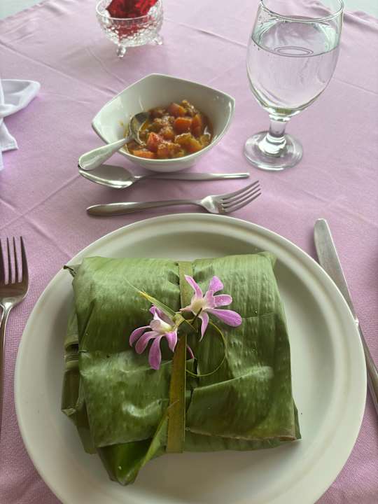 Gastro Villa Safira Ayurveda Residence