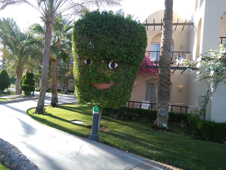 Gartenanlage Jaz Makadina
