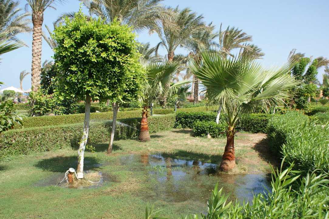 Территория отеля Riviera Aqua Park Resort