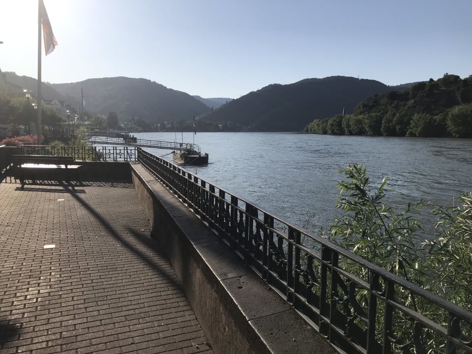 Ausblick Rheinhotel Lilie