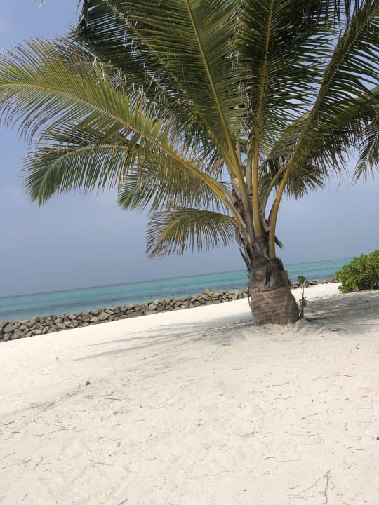 Strand Summer Island Maldives