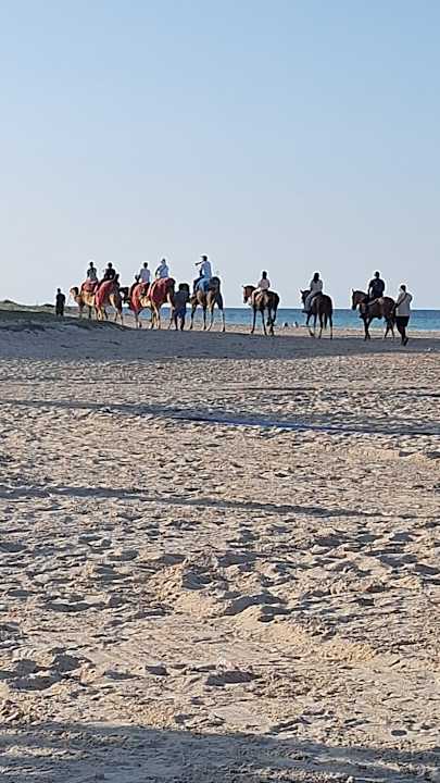 Strand ROBINSON DJERBA BAHIYA