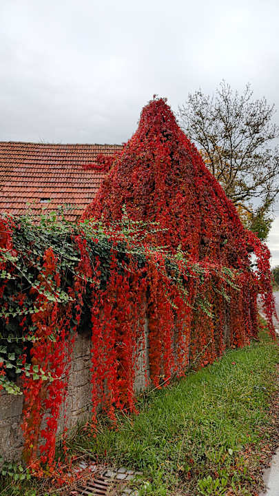 Außenansicht Gutshof Andres