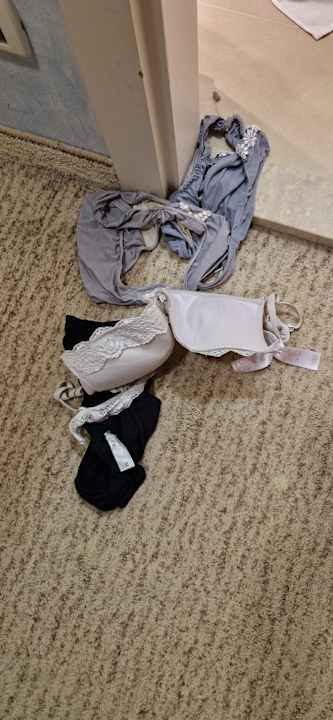 Zimmer Hotel Park Plava Laguna