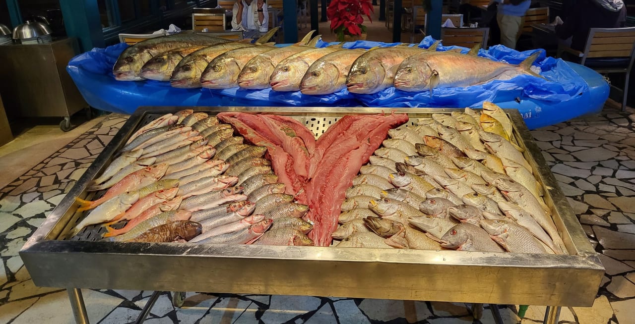 Gastro Club Paradisio El Gouna, Red Sea