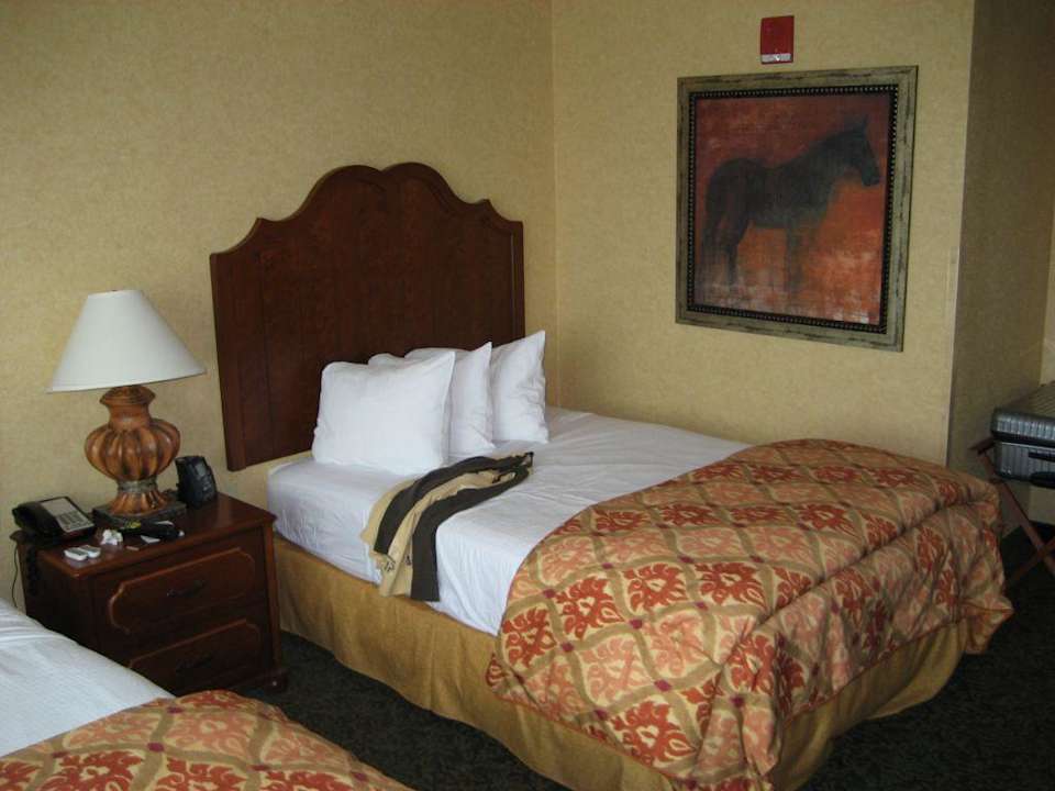 Gute Nacht Embassy Suites Albuquerque