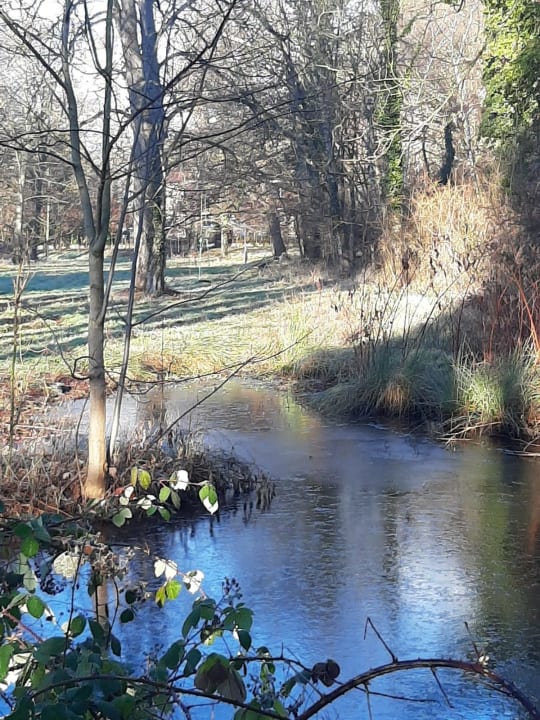 Gartenanlage Sisi-Schloss Rudolfsvilla - Qunitett