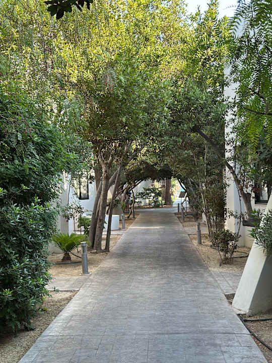 Gartenanlage Caravia Beach Hotel