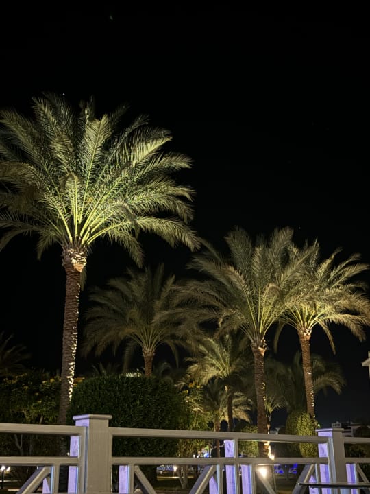 Gartenanlage Serenity Alma Heights