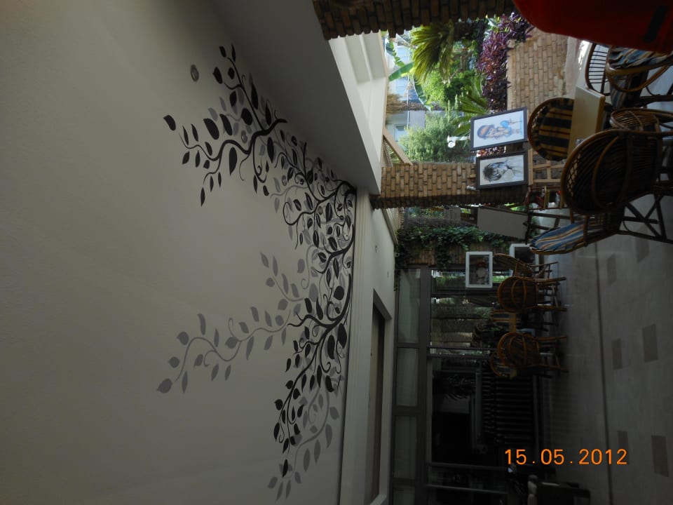 Terrasse Seaden Corolla Hotel