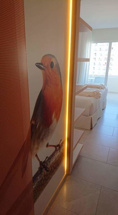 Zimmer Iberostar Selection Sábila