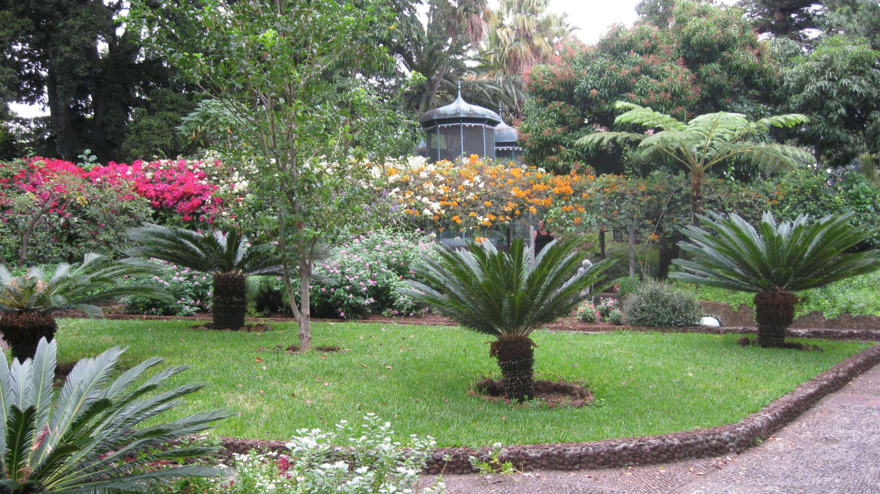 Terrasse Hotel The Cliff Bay (PortoBay)