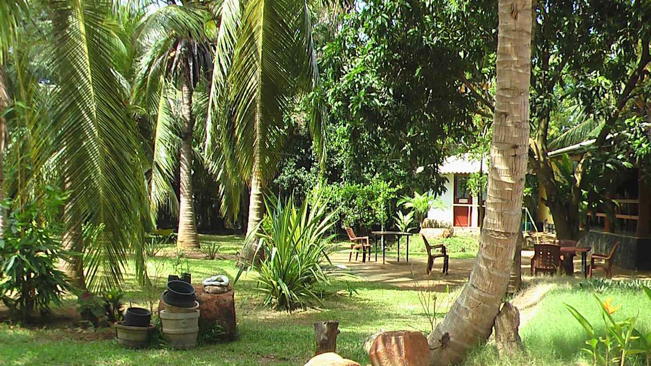 Viel Grün The Coconut Gardens Hotel