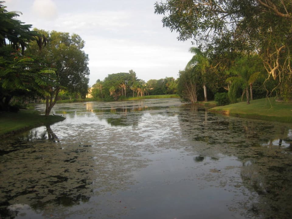 Wir waren begeistert Hotel Kondari Resort