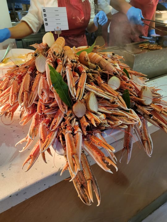 Gastro Liberty Lykia Adults Only