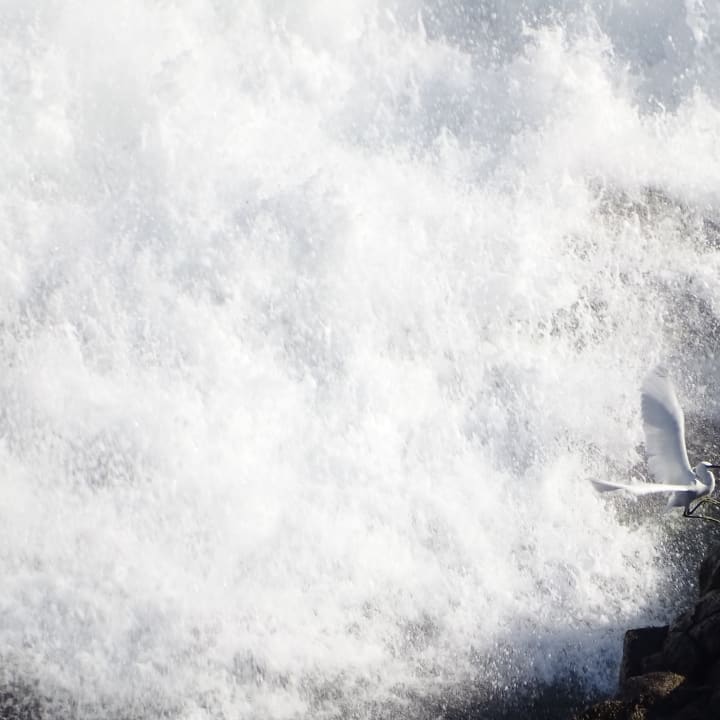 Ausblick Atlantic Mirage Suites & Spa - Adults only