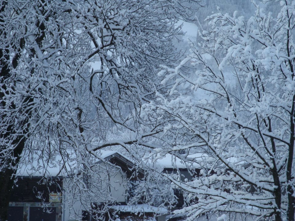 Ausblick Ferienhaus Zillertal