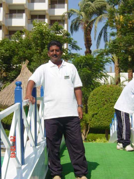 Our nice friend from the pool Pyramisa Hotel Luxor