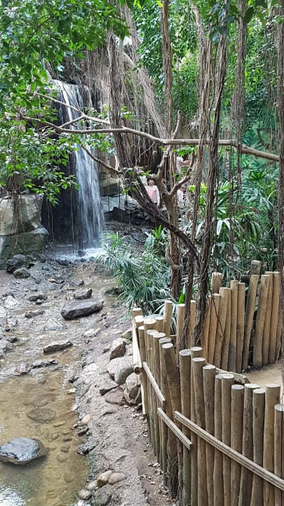 Dschungeldome Center Parcs Het Heijderbos