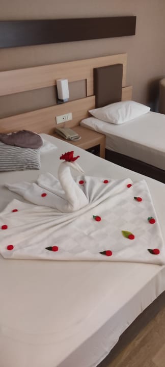 Zimmer Telatiye Resort