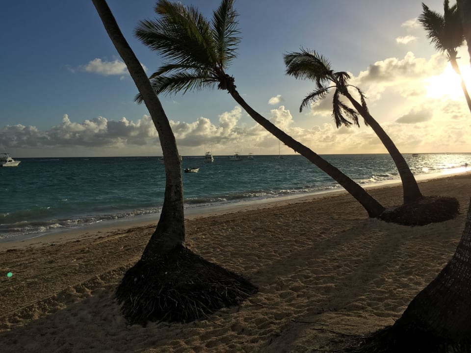 Sonnenaufgang am Strand TRS Turquesa Hotel - Adults only