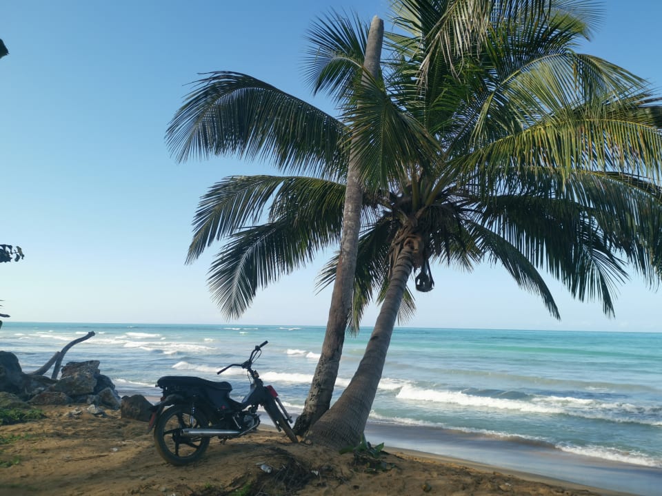 Strand Viva Wyndham Samaná