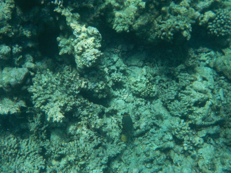 Sport & Freizeit Adaaran Select Hudhuran Fushi - Premium All Inclusive