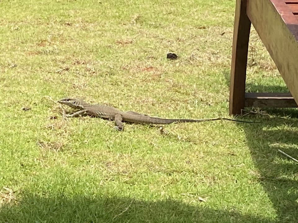 Gartenanlage Earl’s Reef Beruwala
