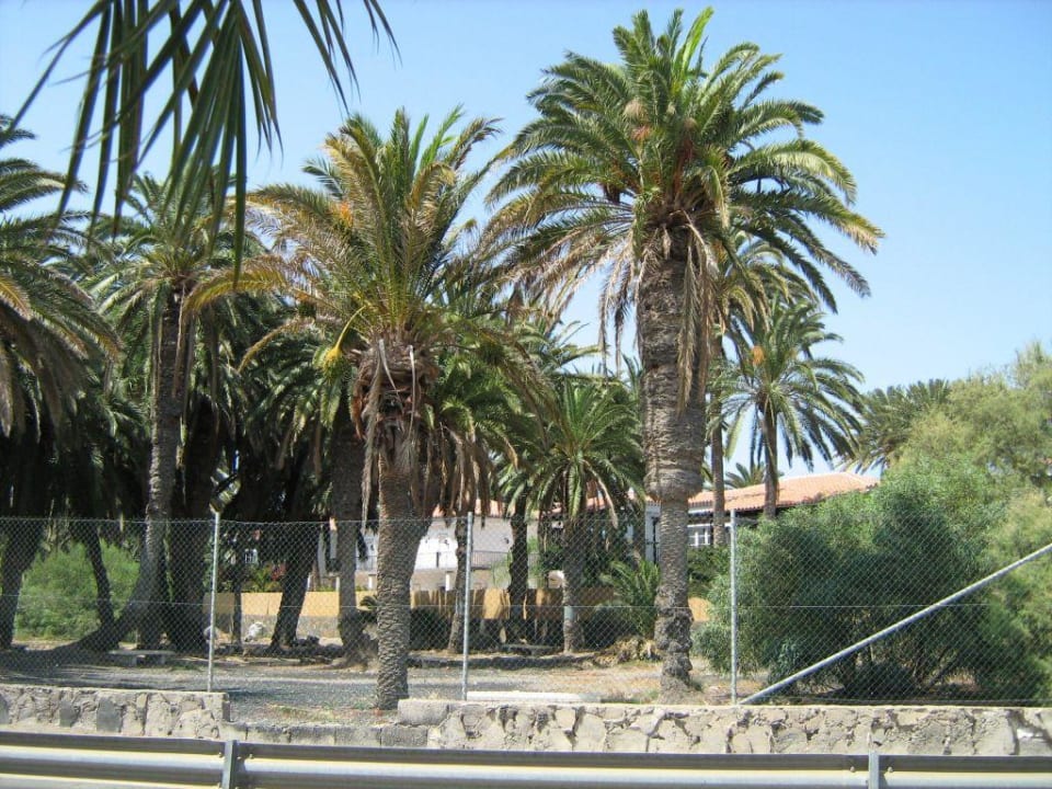 Rückseite des Hotels Seaside Grand Hotel Residencia