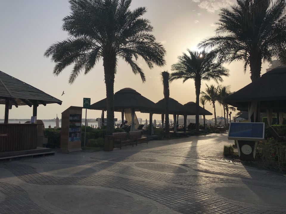 Pool Sofitel Dubai The Palm Resort & Spa