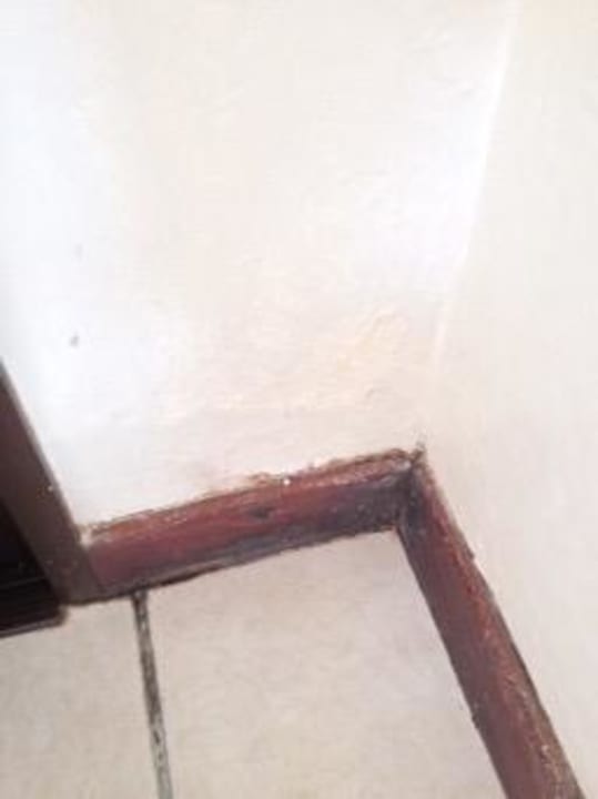 Schimmelecke im Zimmer Wish Natal